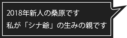 社員提案コンペ仮画像